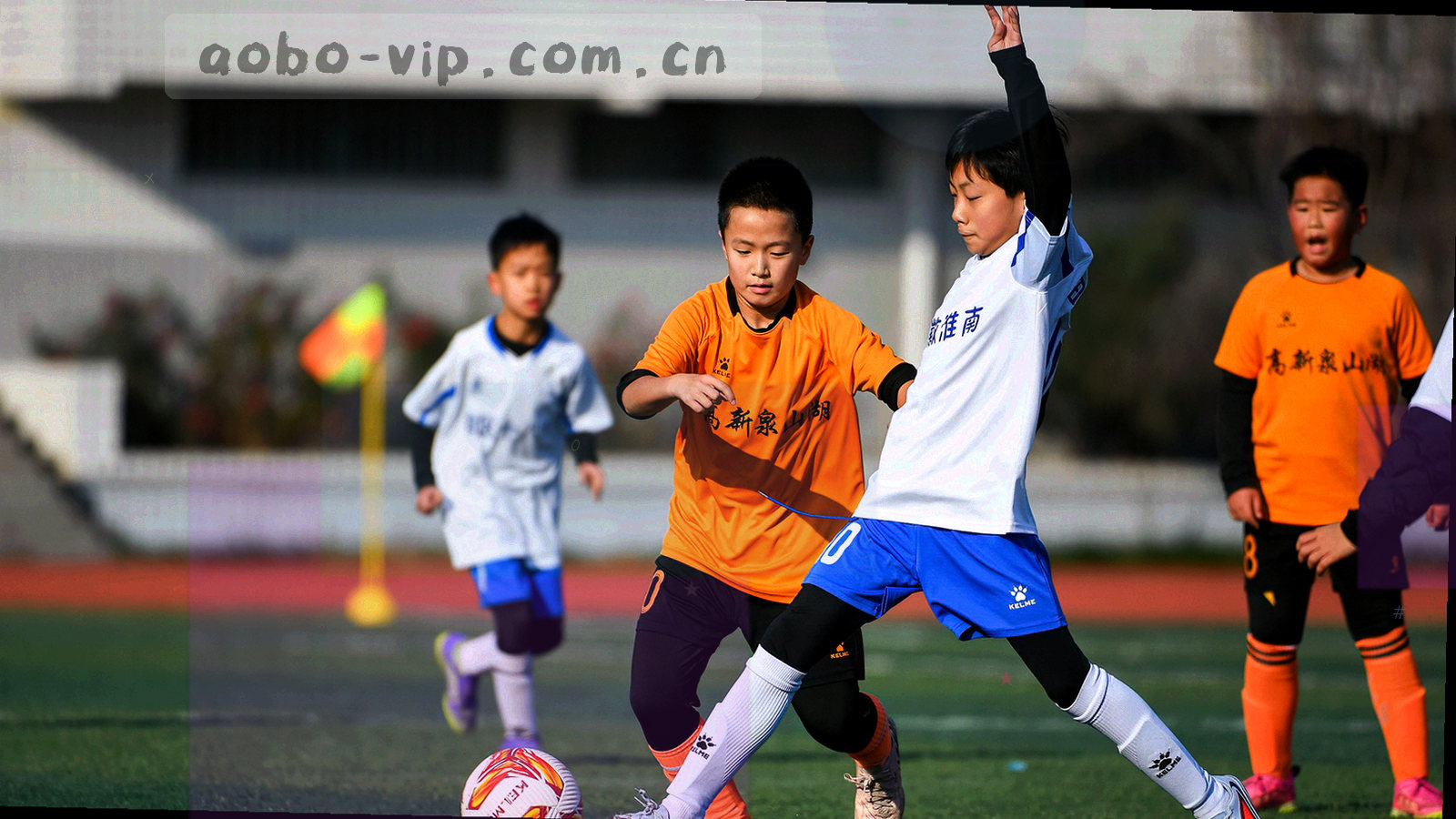 俯视视角的球场中线与草皮纹理抽象画面，画面无人物面部